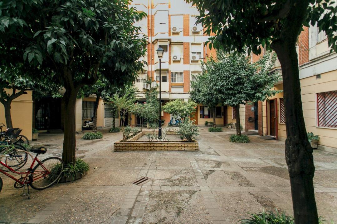 Wide And Diaphanous- 3bd 2bth- Alcazar Sevilla